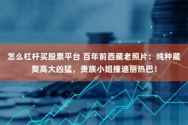 怎么杠杆买股票平台 百年前西藏老照片：纯种藏獒高大凶猛，贵族小姐撞迪丽热巴！