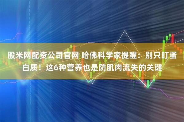 股米网配资公司官网 哈佛科学家提醒：别只盯蛋白质！这6种营养也是防肌肉流失的关键